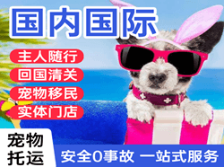 莫力达瓦旗机场邮寄国际宠物托运 【国